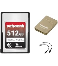 Amazon.com: Pergear 256GB CFexpress Type A Memory Card for Sony
